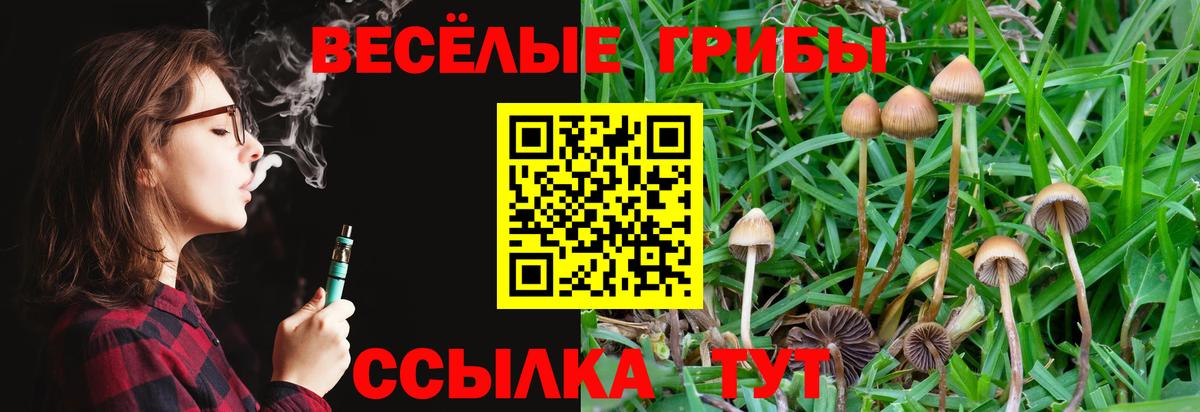Галлюциногенные грибы мухоморы  Вход с VPN  Псилоцибиновые грибы Magic Shrooms  Лесозаводск 